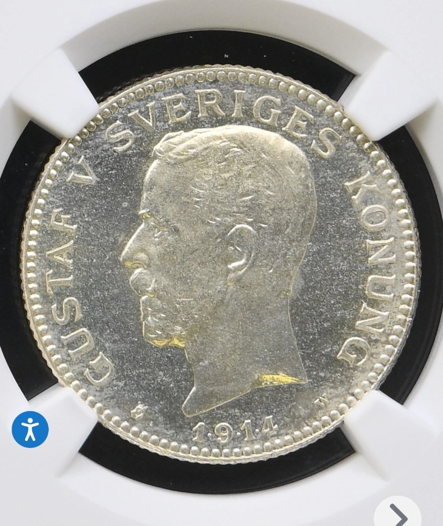 Education-Needed-Did-Patina-Prevent-Cam-Or-Proof-Like-Or-Are-The-Coins-Neither