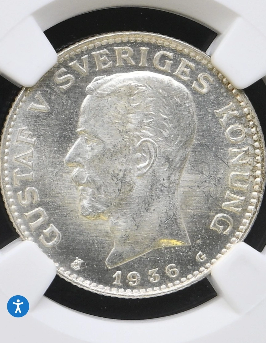 Education-Needed-Did-Patina-Prevent-Cam-Or-Proof-Like-Or-Are-The-Coins-Neither