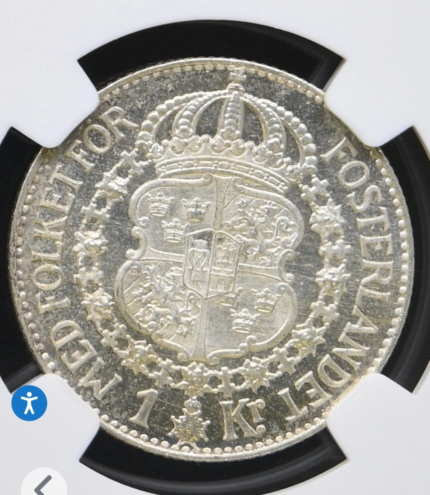 Education-Needed-Did-Patina-Prevent-Cam-Or-Proof-Like-Or-Are-The-Coins-Neither