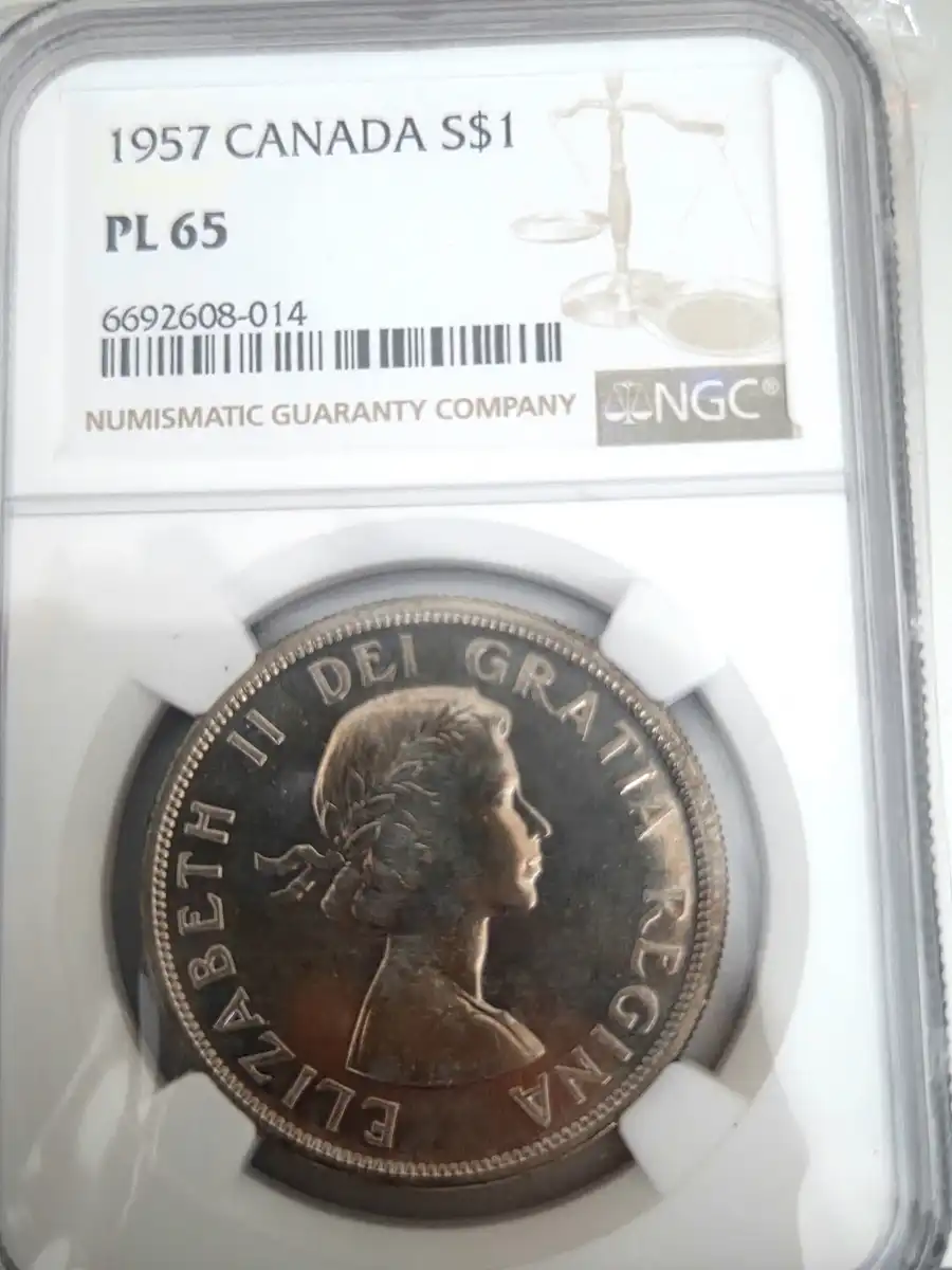 Continuing-List-To-Show-Everyones-Latest-Acquisitions