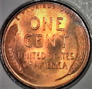 Interesting-Find-From-Circulation