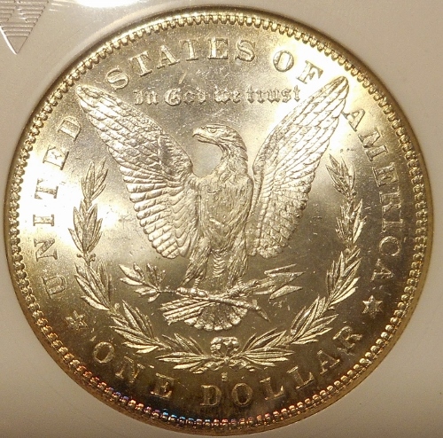The-28-Days-Of-Morgan-Dollars-Part-4