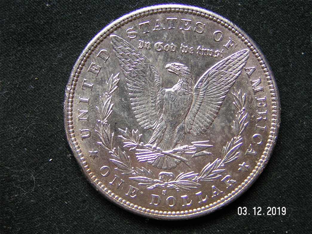 Morgan-1879-S---Will-This-Grade-With-Rim-Dent?