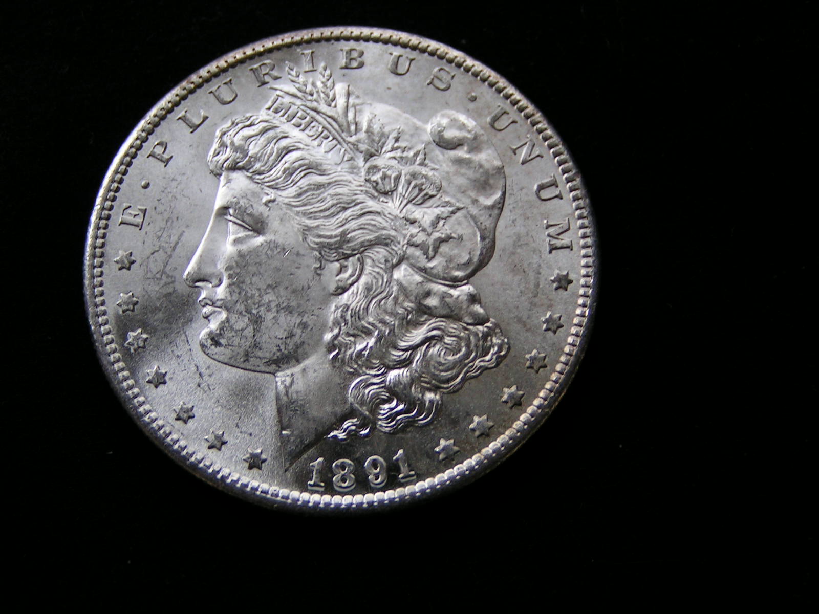 1891-S-Morgan-Dollar-For-Grade-#1