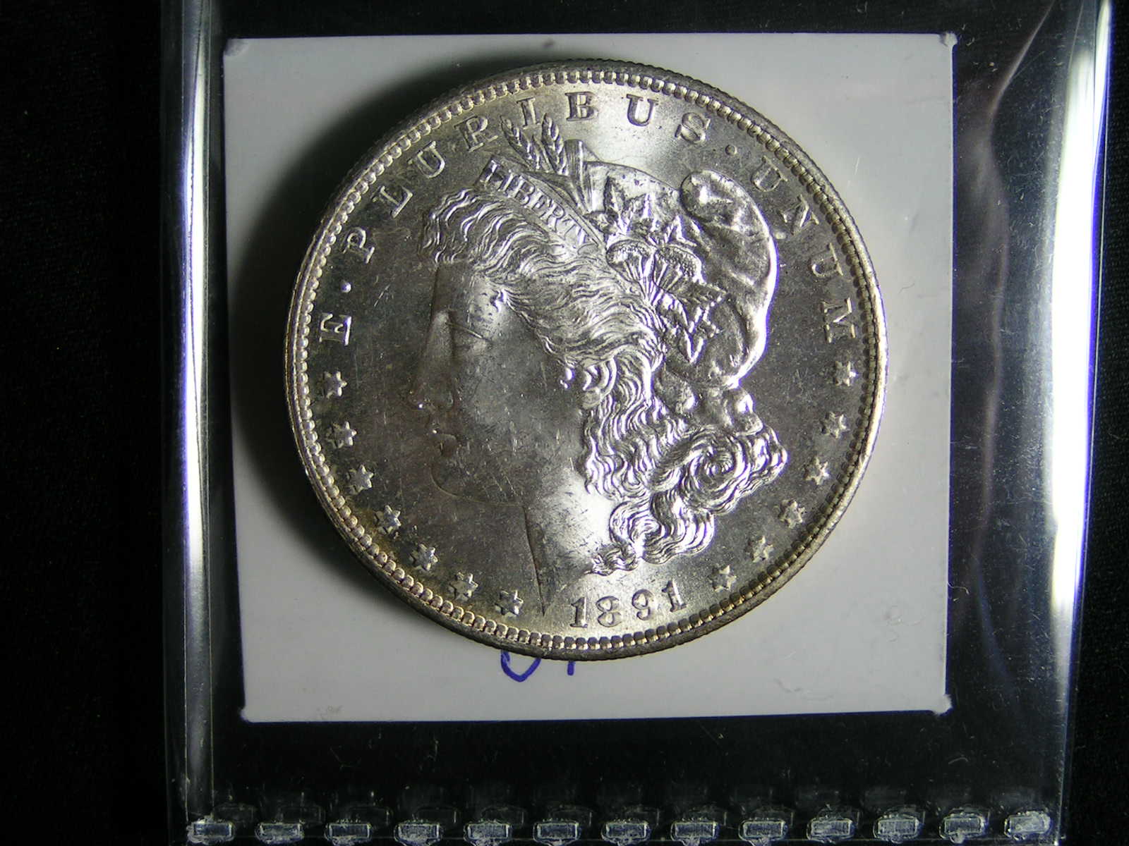 1891-S-Morgan-Dollar-For-Grade-#8