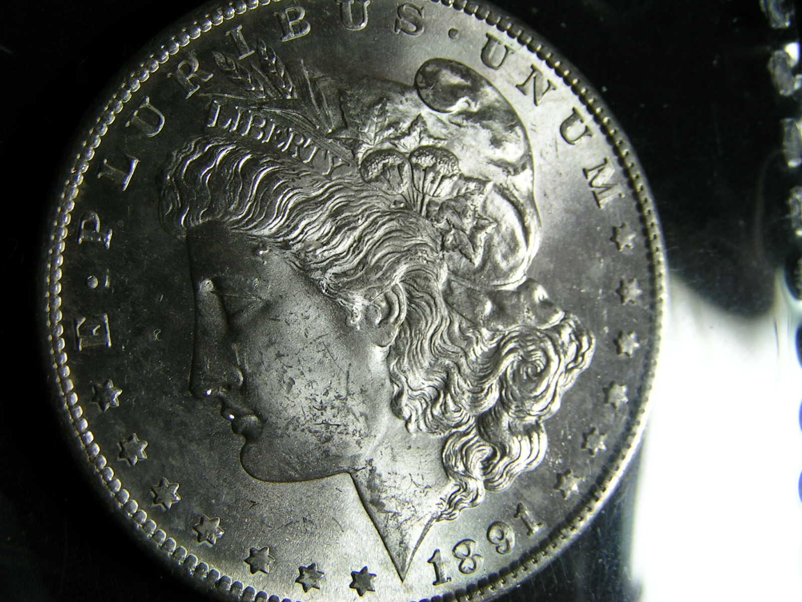 1891-S-Morgan-Dollar-For-Grade-#10