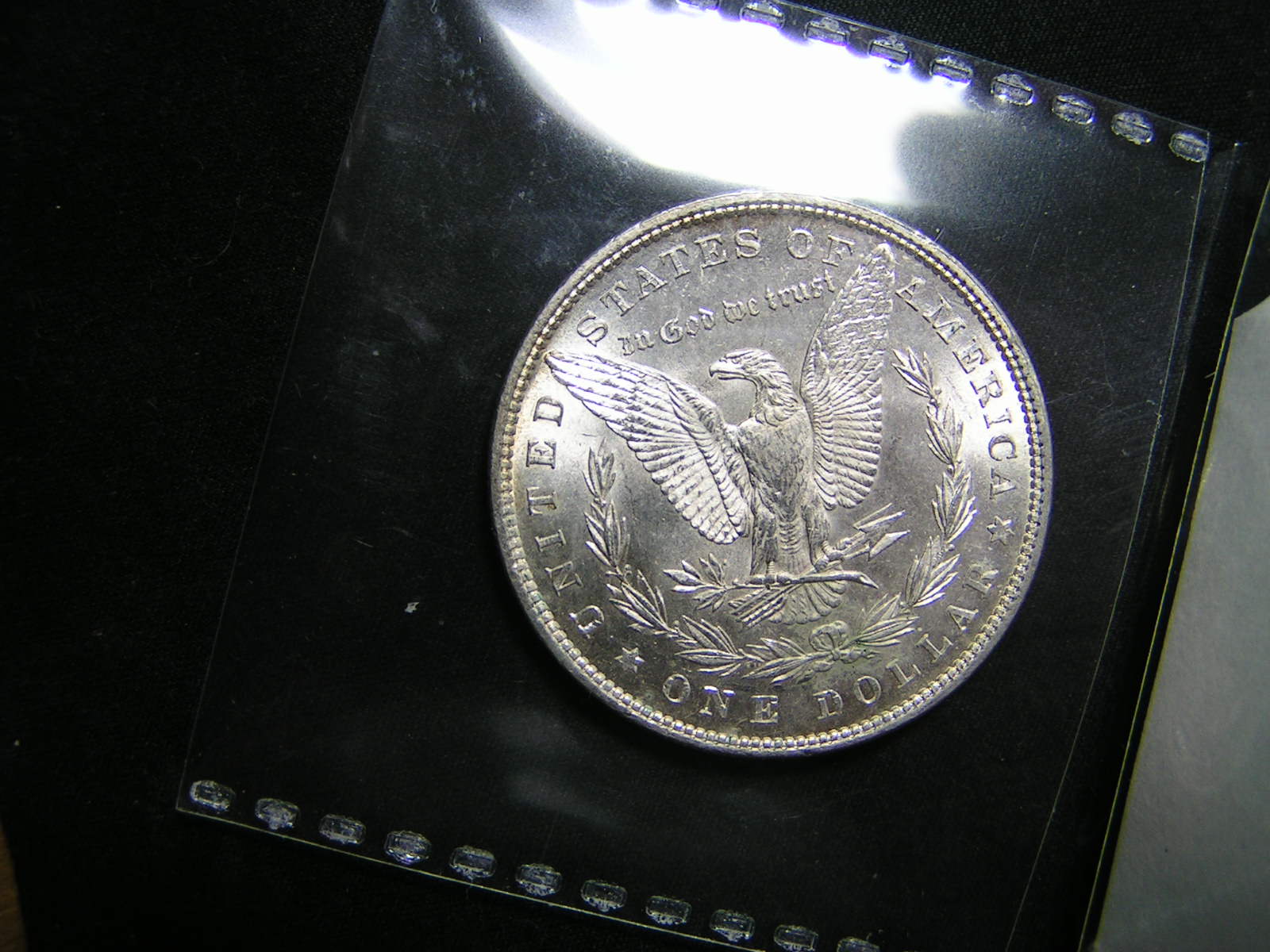 1879-Morgan-Dollar-For-Grade