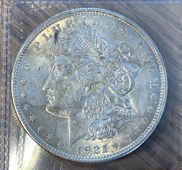 1921-Morgan-Dollar-Doubled-Lower-Tailfeathers.-Please-Help-Identifying-VAM