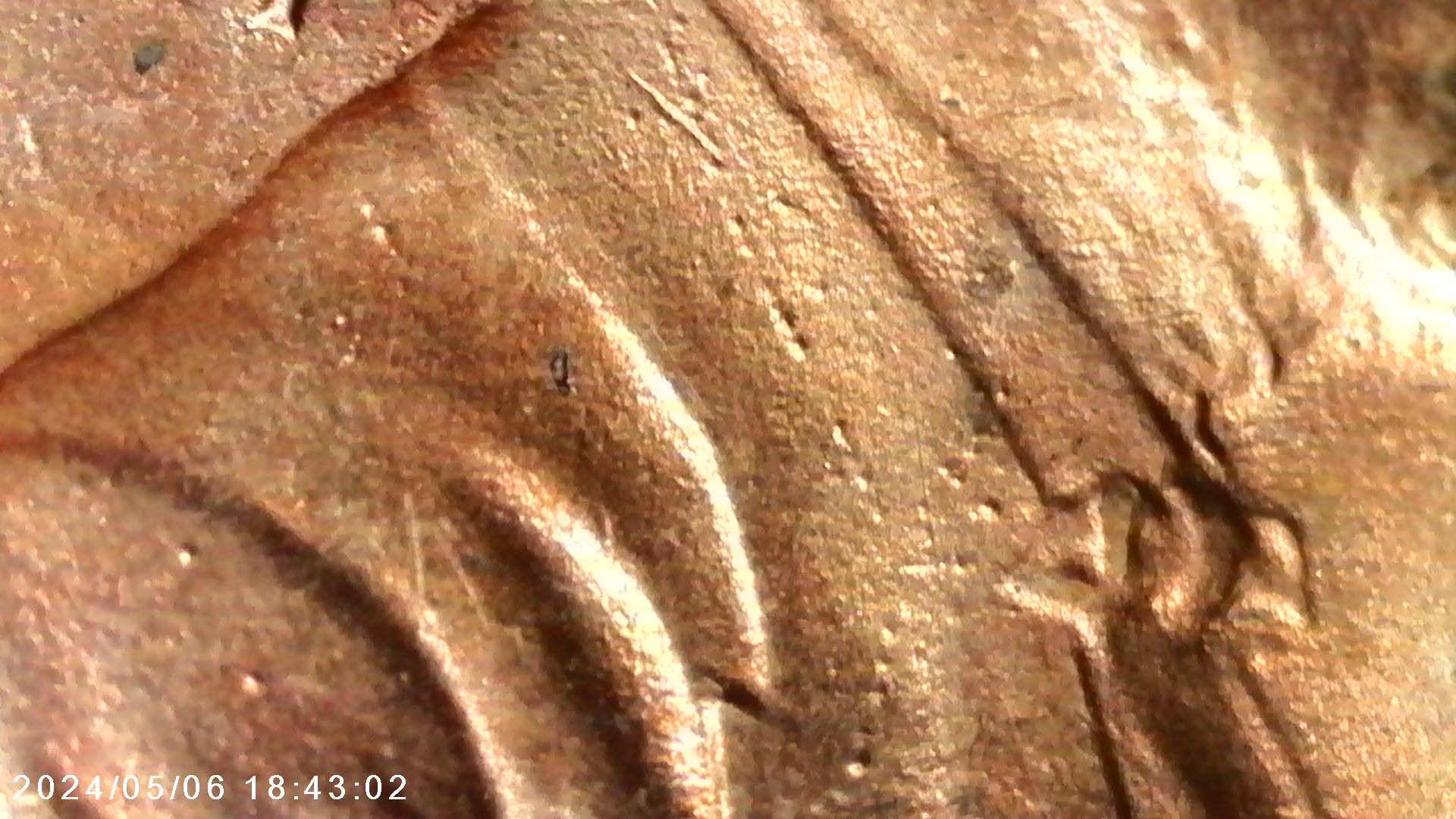 1982-D-Small-Date-Zinc-Lincoln-Cente-Die-Gouge-And-Raised-Dots