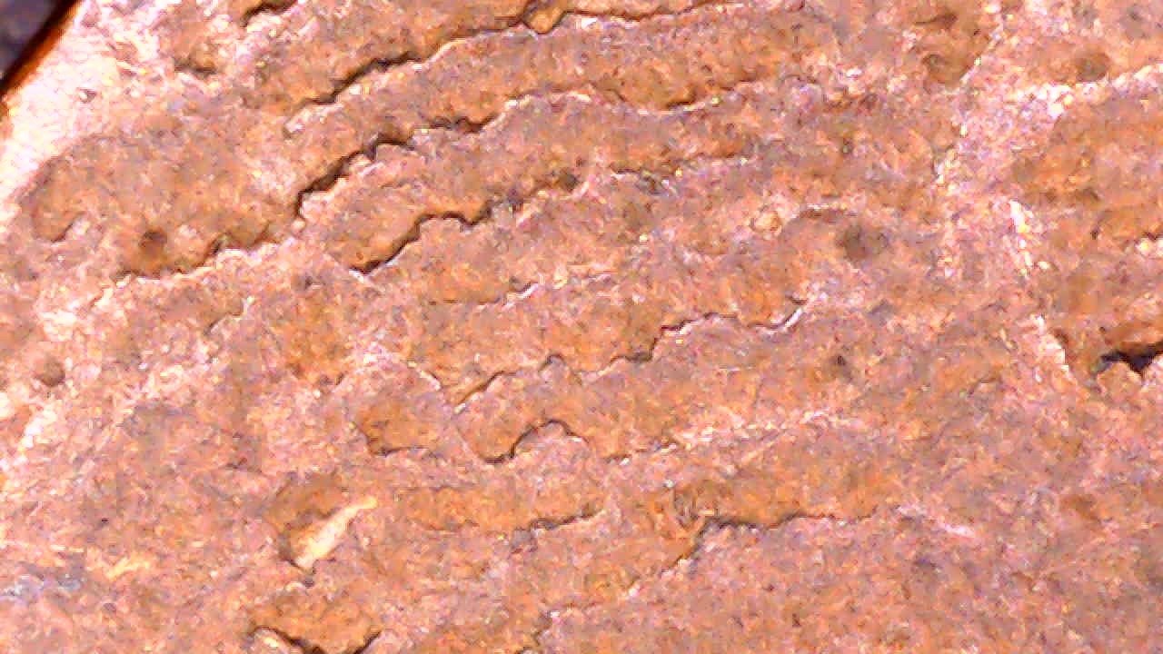 19?-Waves-On-Wheat-Cent.-Damage?-Erosion?