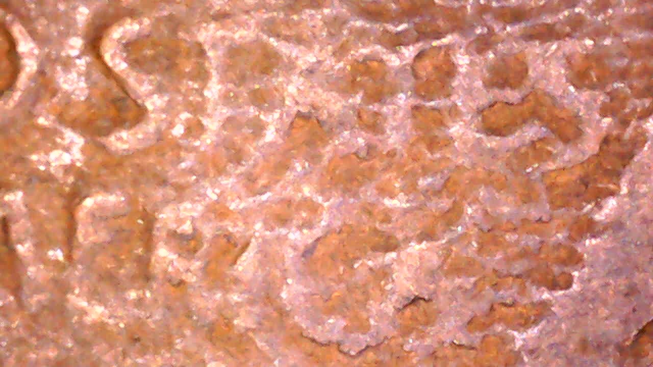 19?-Waves-On-Wheat-Cent.-Damage?-Erosion?