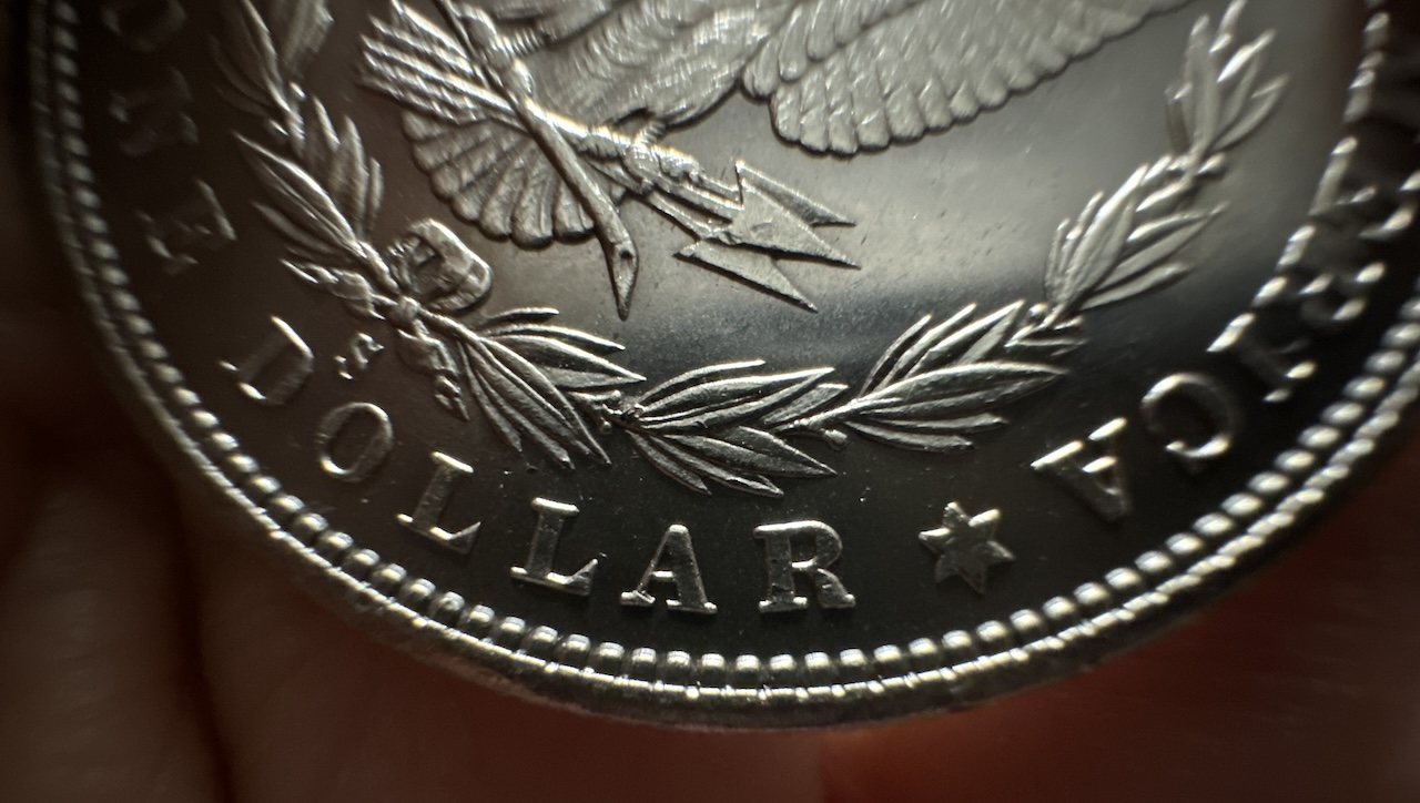 1880-S-Morgan-Dollar,-Die-Crack,-VAM,-And-Grade-Thoughts-Please?