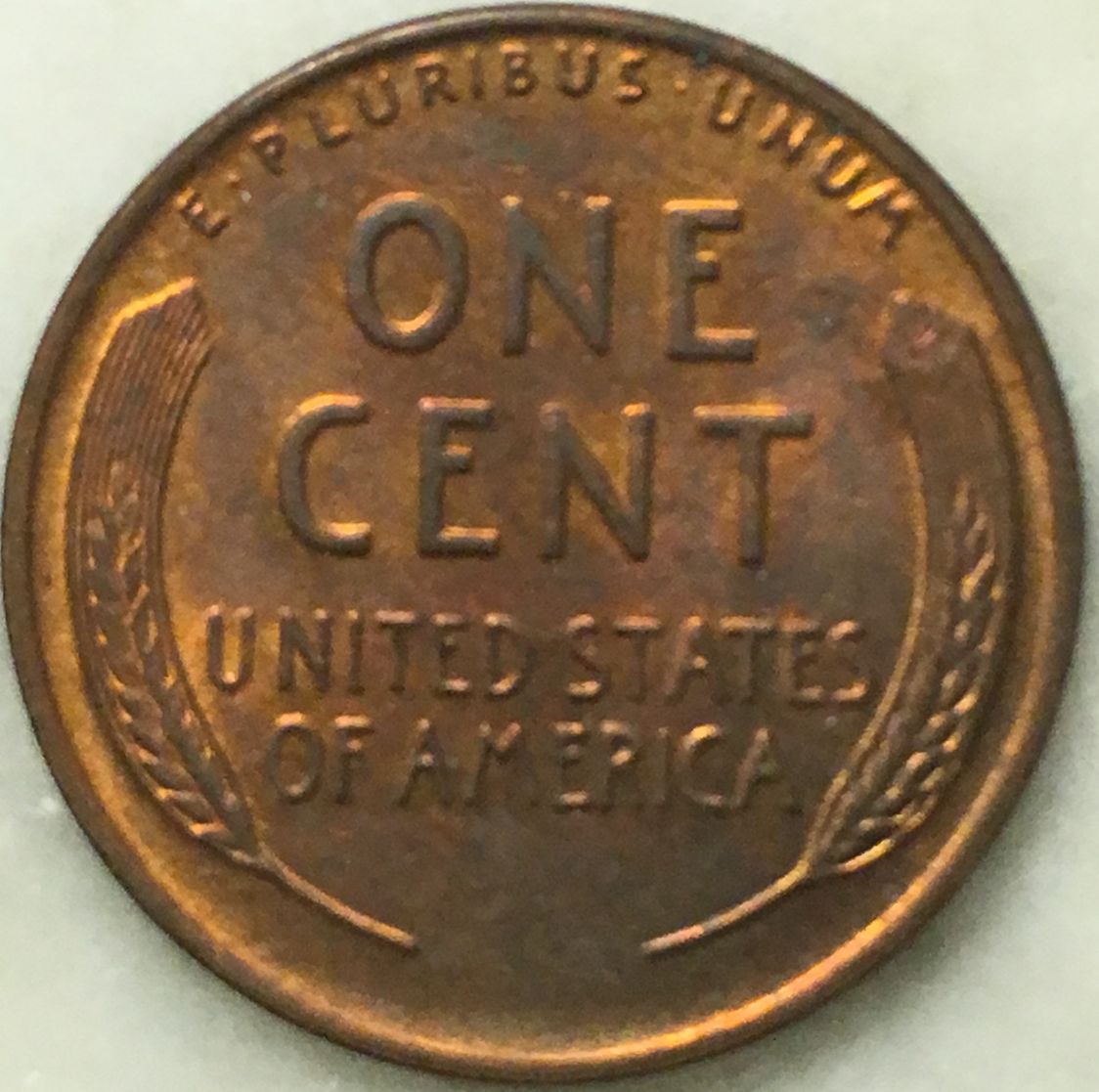 Would-You-Buy-This?-How-Much-Would-You-Pay?