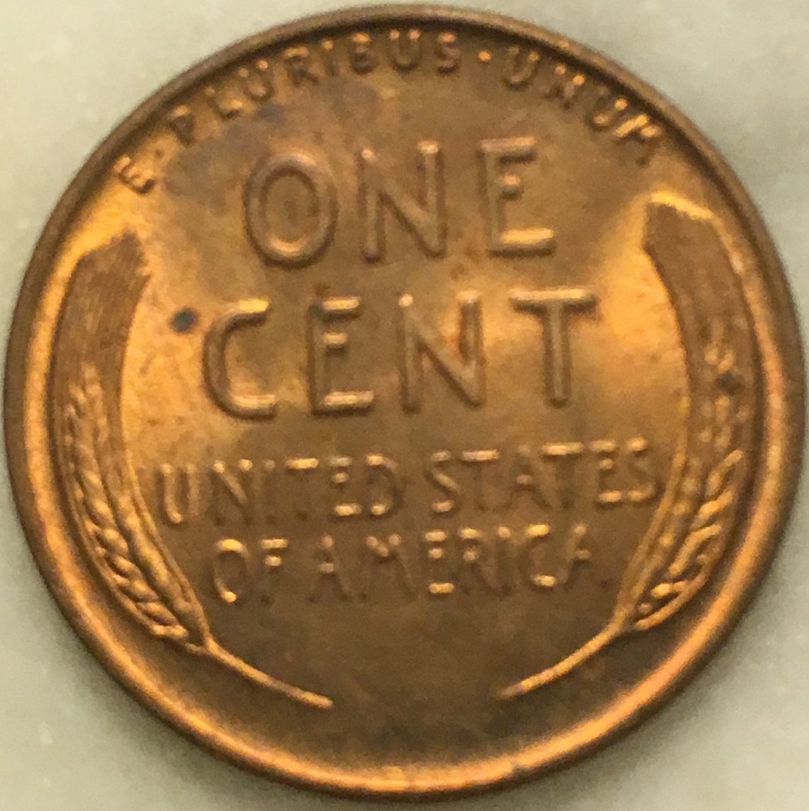 Would-You-Buy-This?-How-Much-Would-You-Pay?