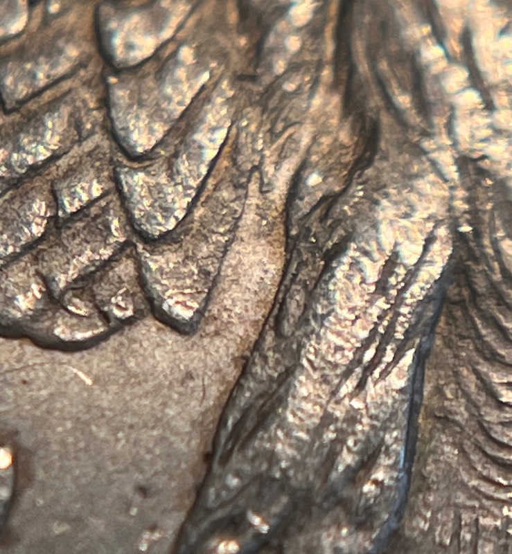 1878-7-Over-8-Tail-Feathers
