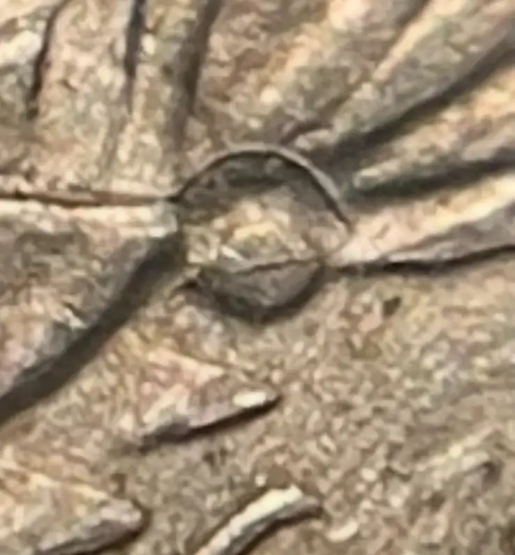 Poorly-Minted-Example-Of-An-1865-Three-Cent-Nickel