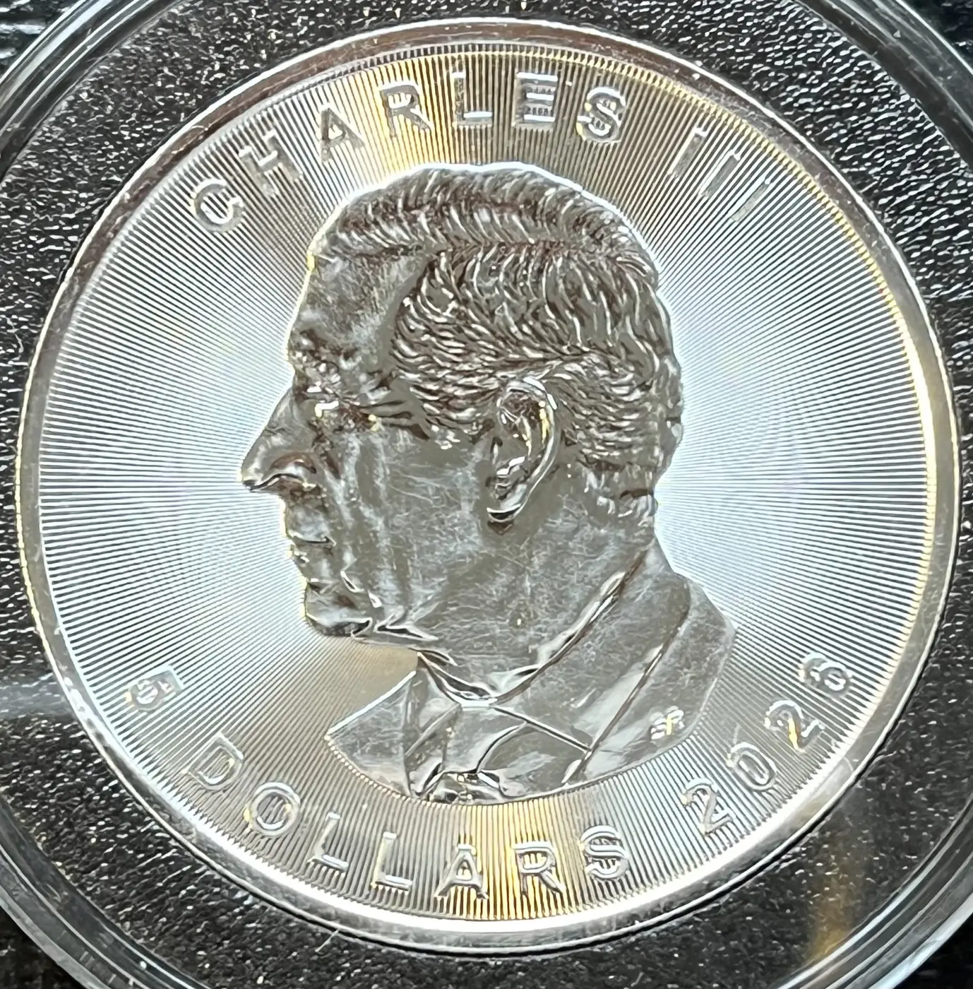 Continuing-List-To-Show-Everyones-Latest-Acquisitions