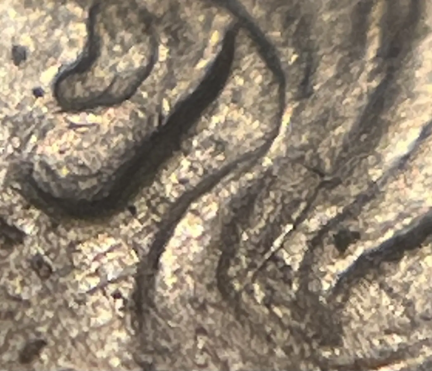 Poorly-Minted-Example-Of-An-1865-Three-Cent-Nickel
