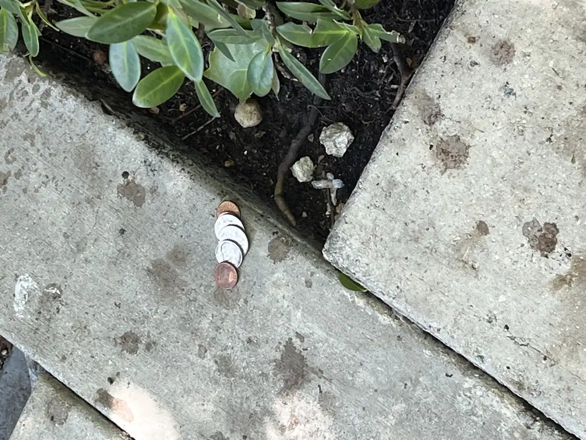 Post-Your-Stories-&-Pix-Of-Found-Money