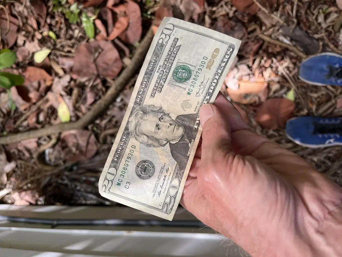 Post-Your-Stories-&-Pix-Of-Found-Money