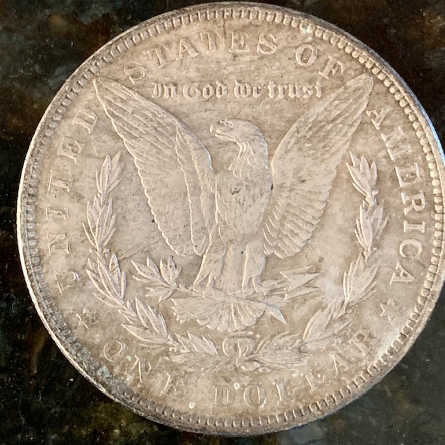 A-Toned-1891-Morgan-Grade?-New-Picture