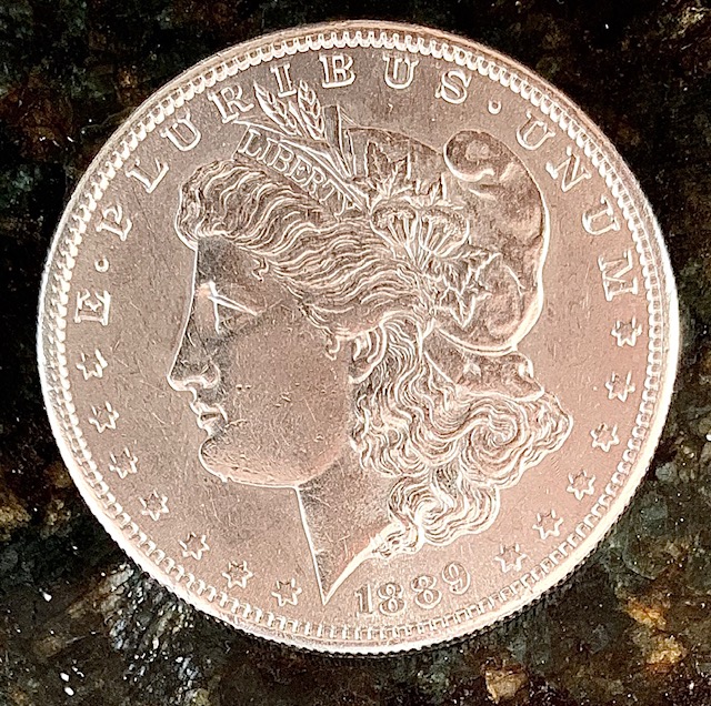 1889-S-Morgan-Grade-Please