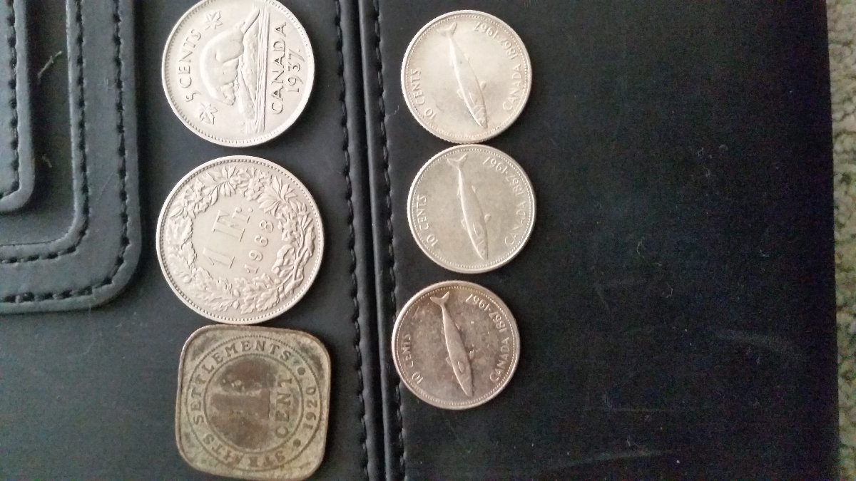 Junk-Shop-Finds---A-Very-Lucky-Day
