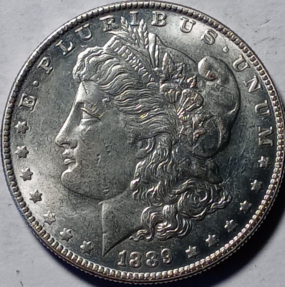 Continuing-List-To-Show-Everyones-Latest-Acquisitions