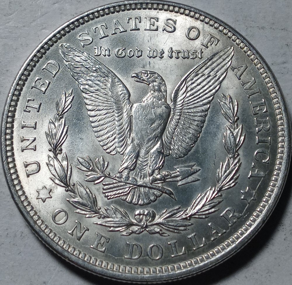 Continuing-List-To-Show-Everyones-Latest-Acquisitions