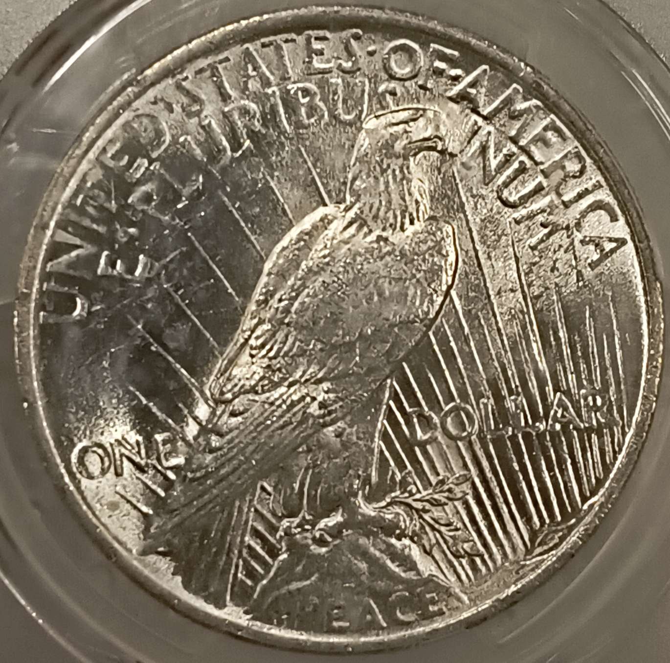 You-Vs-PCGS:-1924-Peace-Dollar