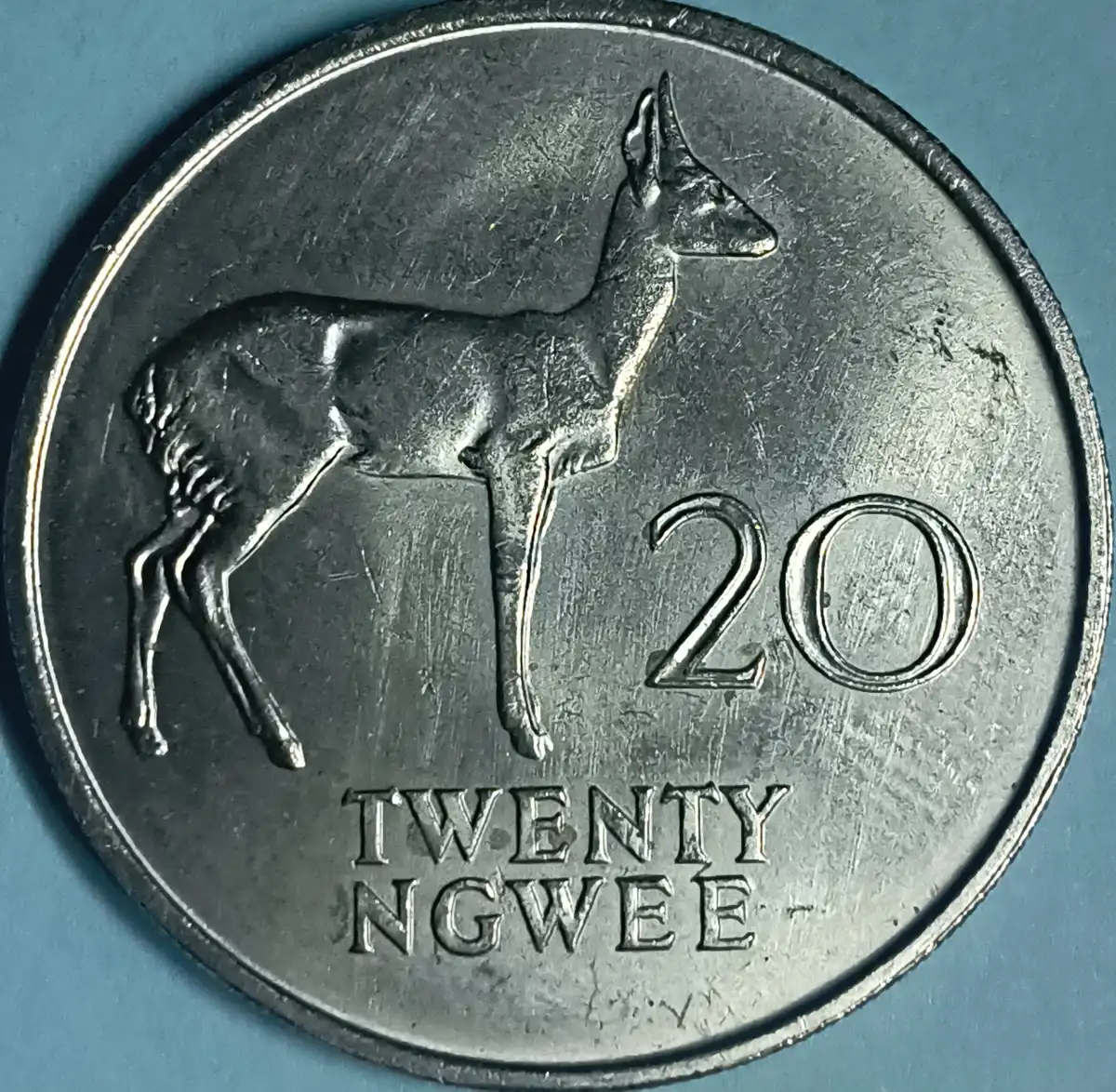 Yet-Another-Forum-Game---Numismatic-Go-Fish!