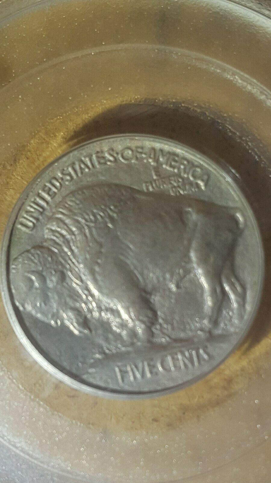 Finish-On-This-Buffalo-5c