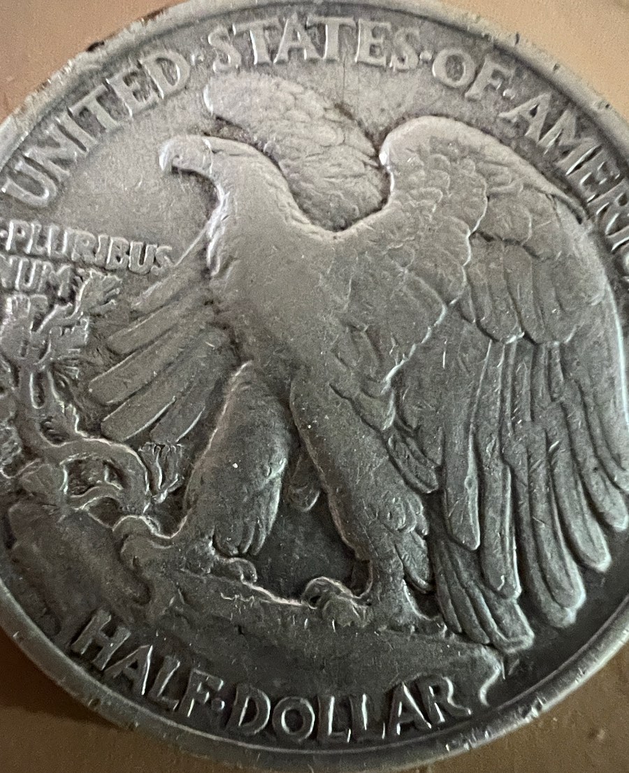 1921-P-Walking-Liberty-Grade?-Should-I-Slab?