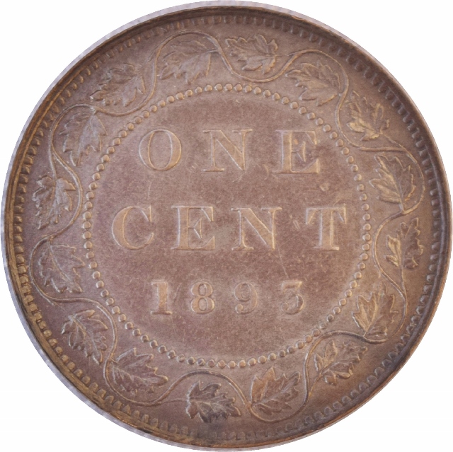 Rim-Error---1893-Large-Cent