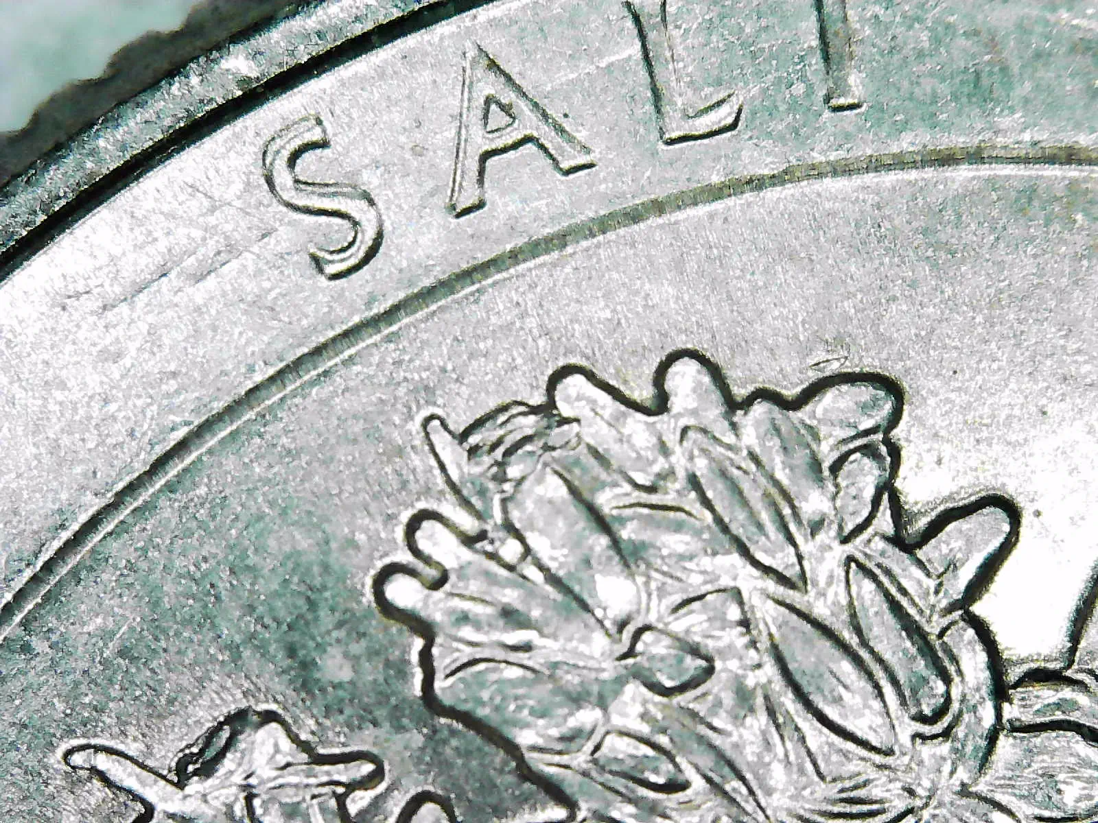 2020-P-Salt-River-Extra-Metal-On-Reverse