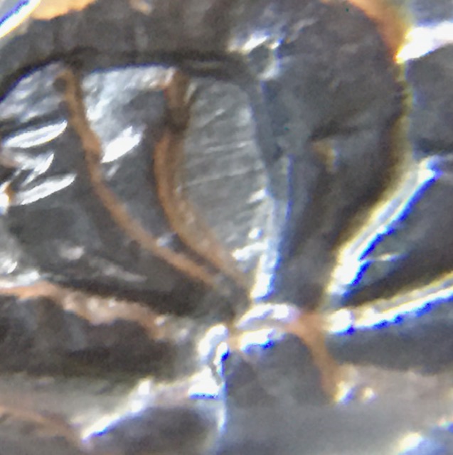 1896--D-Morgan-Dollar-VAM-11