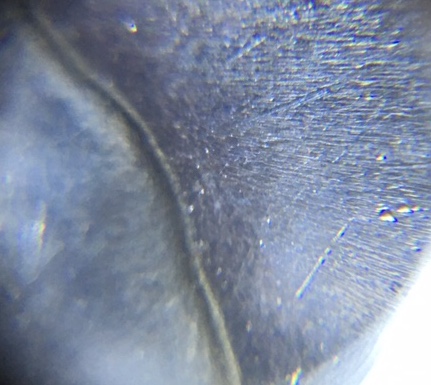 1924-P-Peace-Dollar,-Help!
