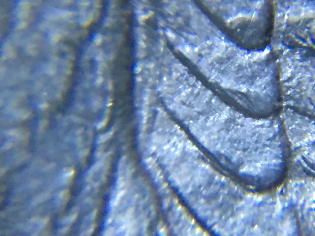 1879-S-Morgan-Dollar-VAM-36