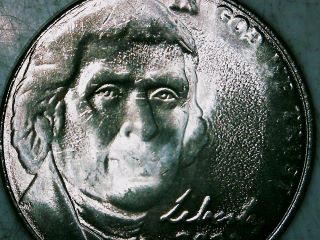 2023-Jefferson-Nickel---Blurring-On-Coin-Obverse-And-Reverse.--Mint-Error?