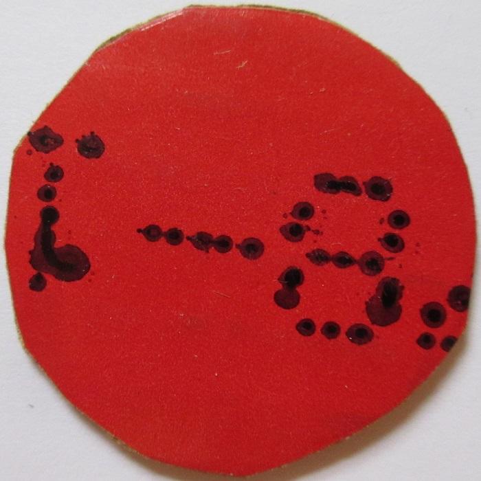 Question-About-Unusual-Coinage-Materials/Post-Your-Unusual-Materials-Coins!