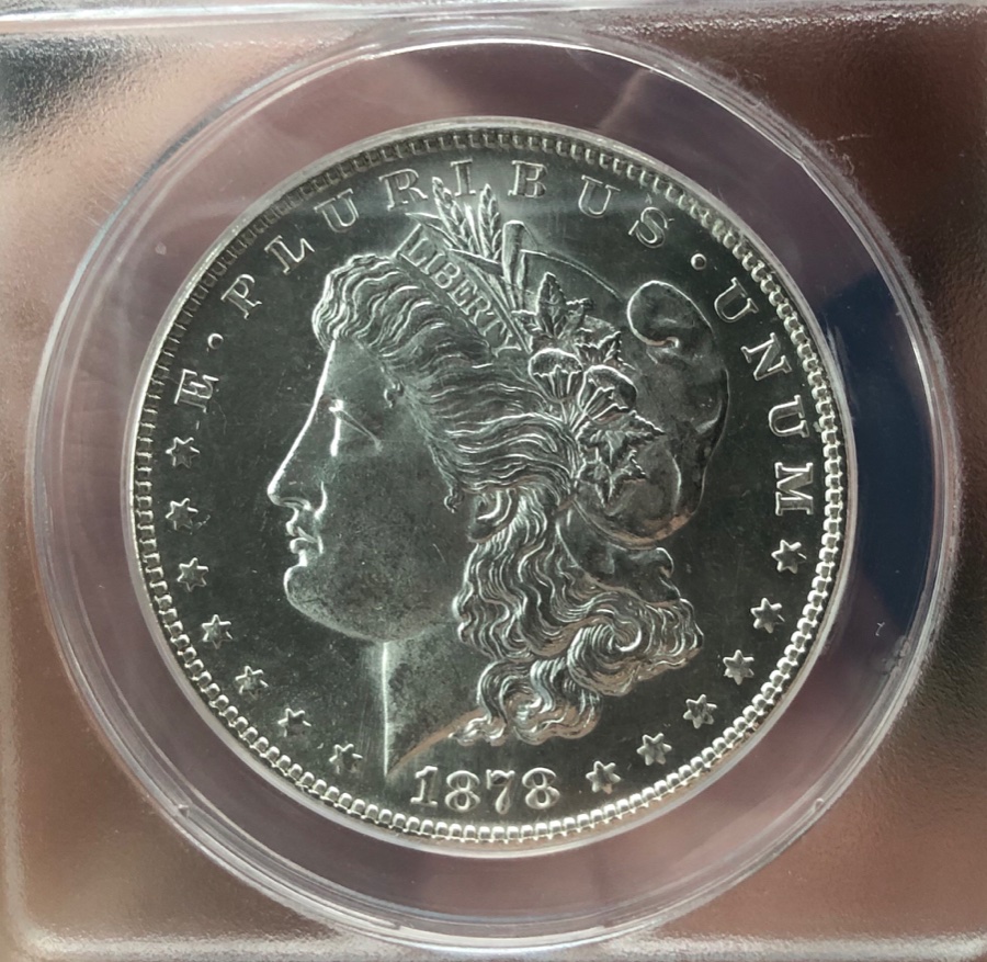 1878-S-Morgan-Vam-19A---What's-The-Grade?