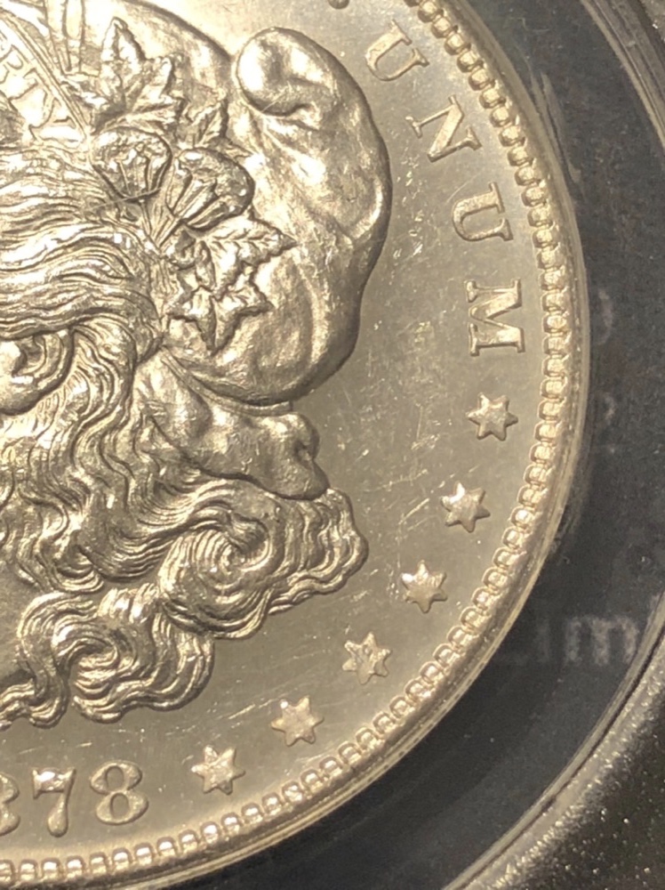 Possible-1878-S-Morgan-Vam-19A-Grade?