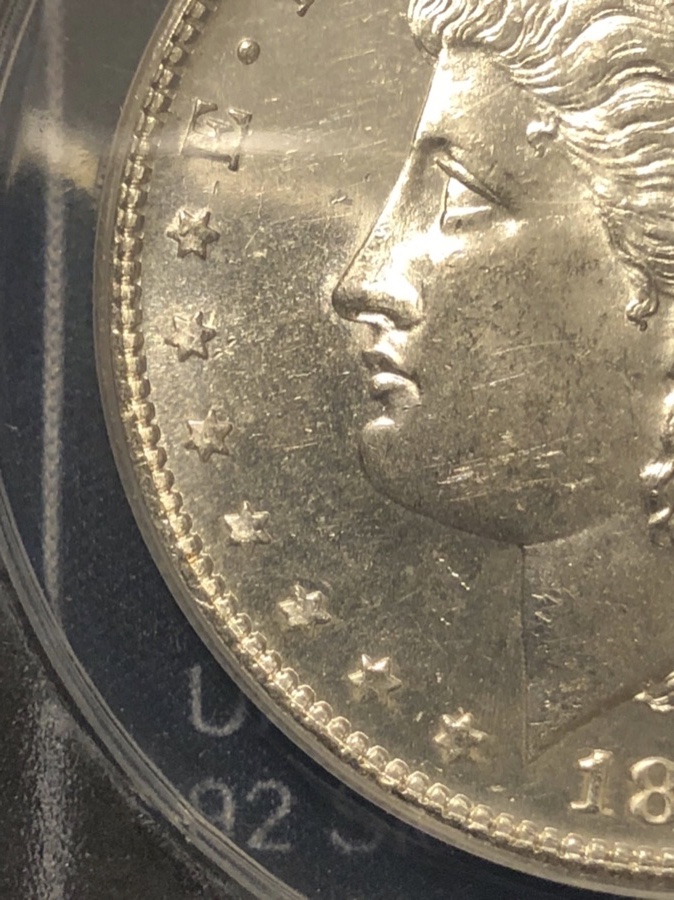 1878-S-Morgan-Vam-19A---What's-The-Grade?