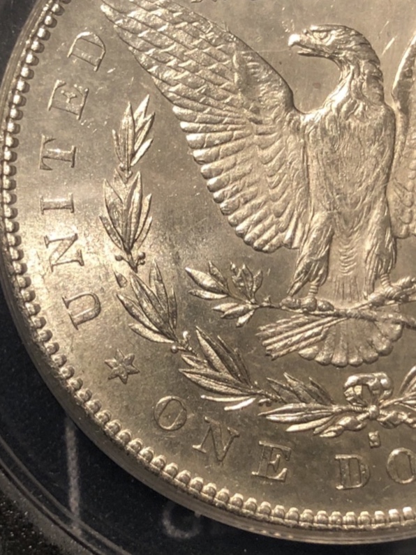 1878-S-Morgan-Vam-19A---What's-The-Grade?