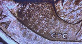 2021-P-Airmen-Quarter---Clad-Issue-Or-Just-Stain?