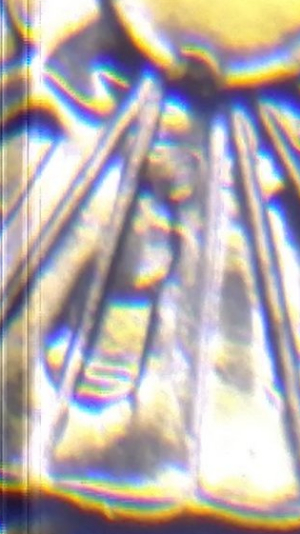 2019-Lowell-Quarter-New-Error?-Repost