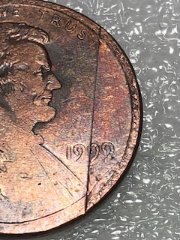 1999-Penny-What-Type-Error-Is-This?-Need-Help