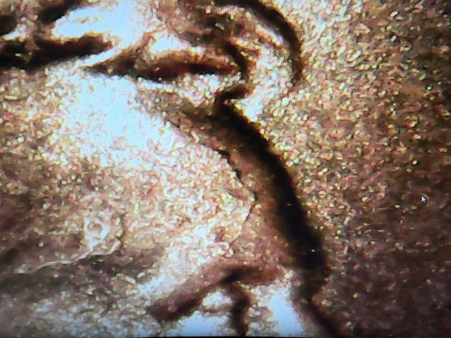 2018-One-Cent-Die-Cracks