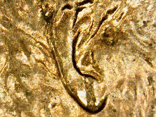 2008-One-Cent---Doubled-Ear?-Help!