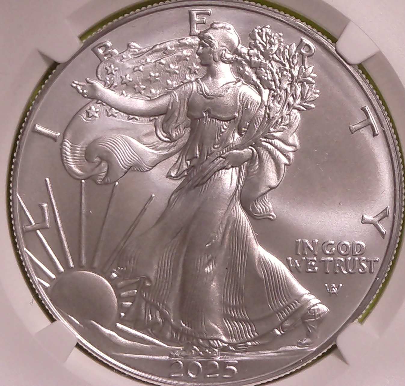 2025-Silver-Eagle-Wing